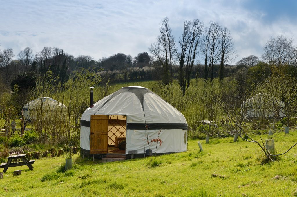 Gilliflower Yurt in Cornish spring sunshine, featuring unique with picnic bench in organic apple orchard, in walking distance of south coast of Cornwall near Mevagissey and Gorran Haven
