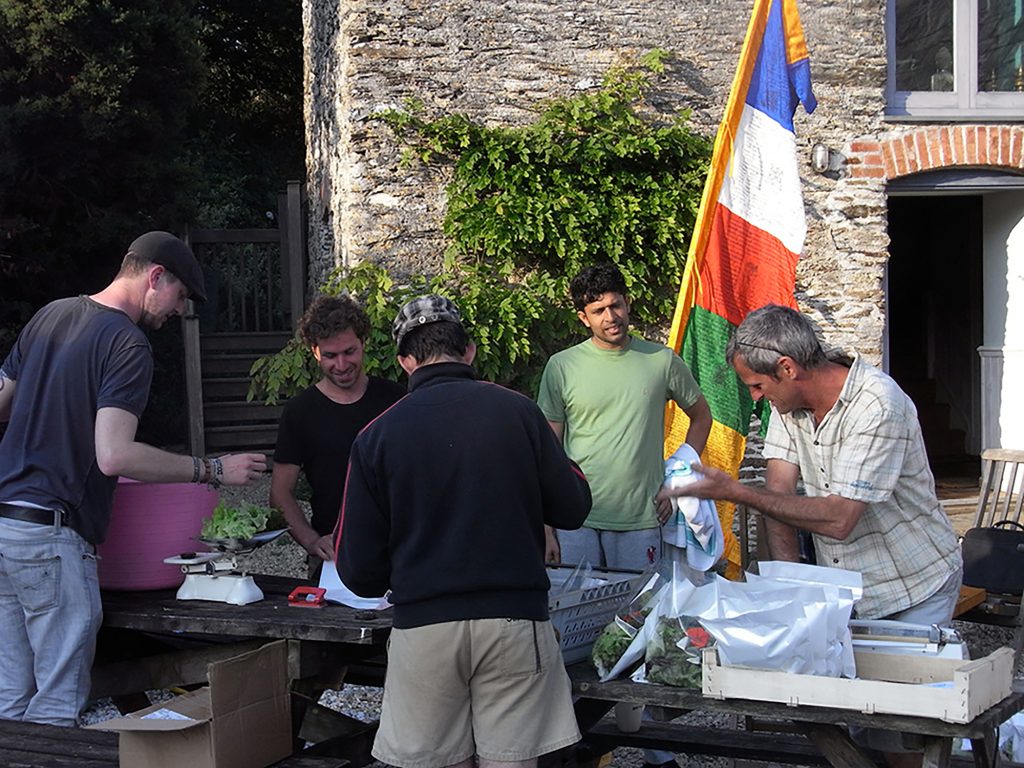Packing organic salad leaves with wwoof volunteers at Cotna Eco Retreat near Gorran Haven, Cornwall. Tibetan flag flying, Sivananda Yoga teacher Vasudev, farmhouse and wisteria in the background